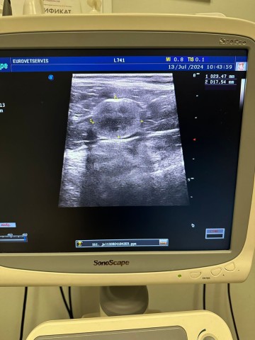 УЗИ аппарат Sonoscape S20 Pro, 2017 г.в. - 700 700 руб.